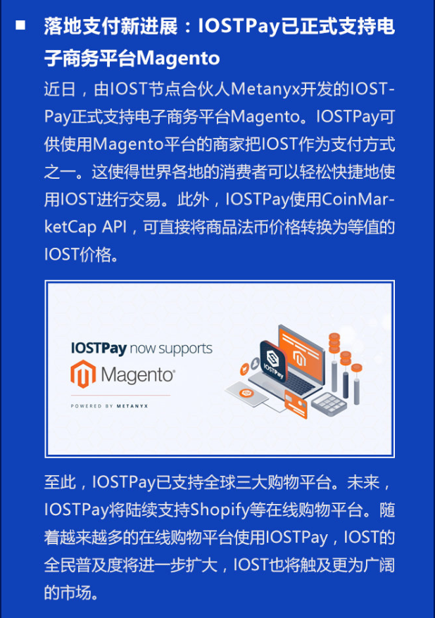 双周报