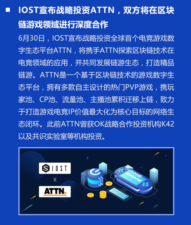 双周报