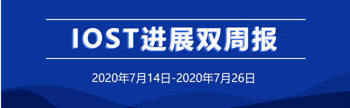 双周报
