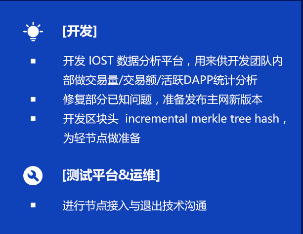双周报
