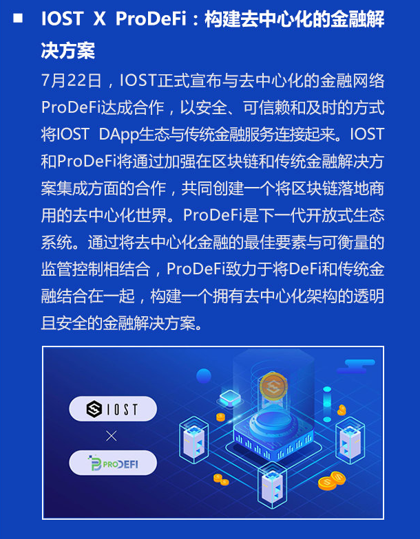 双周报