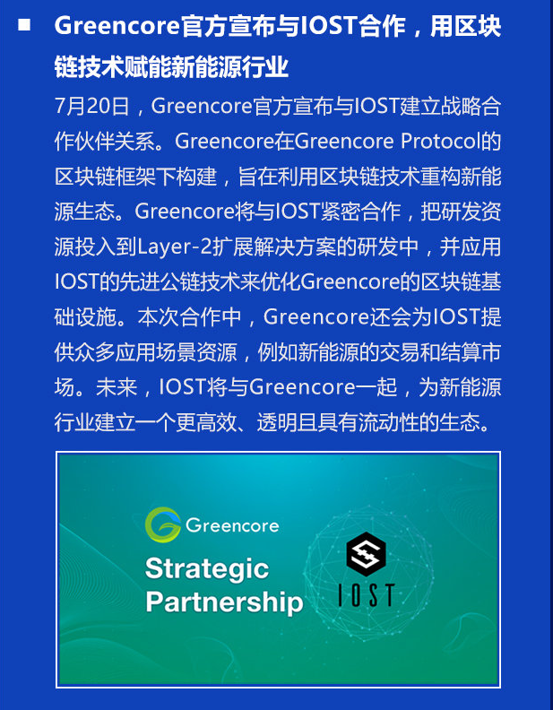 双周报