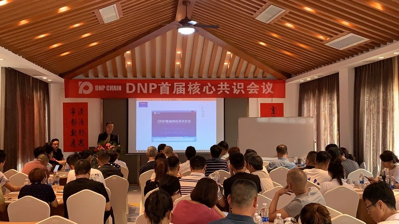 DNPCHAIN
