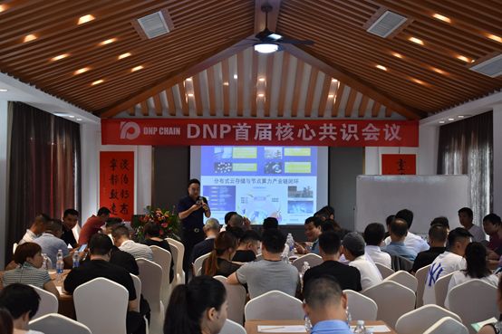 DNPCHAIN