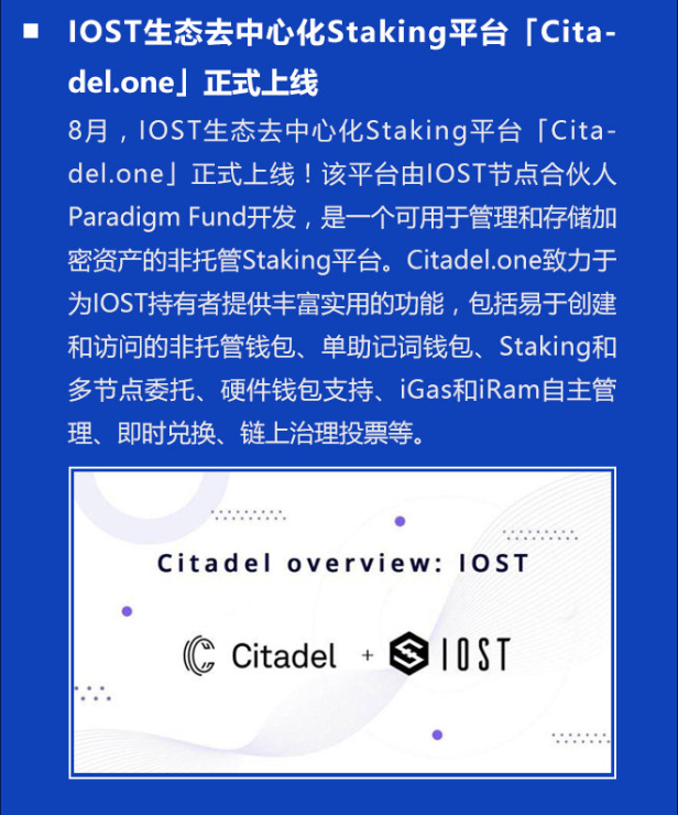 双周报