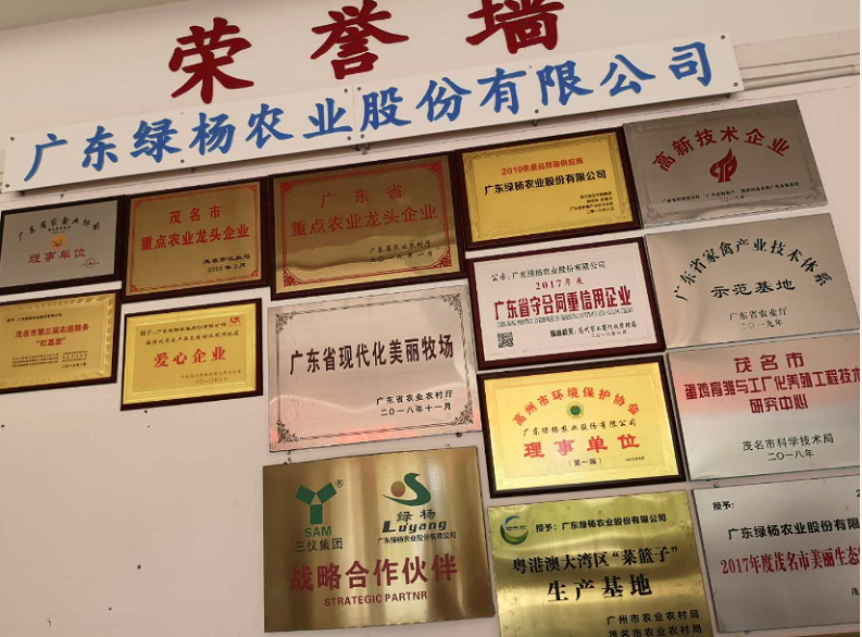 区块链技术应用