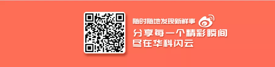 IPFS
