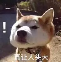 程序员