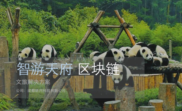 数字经济