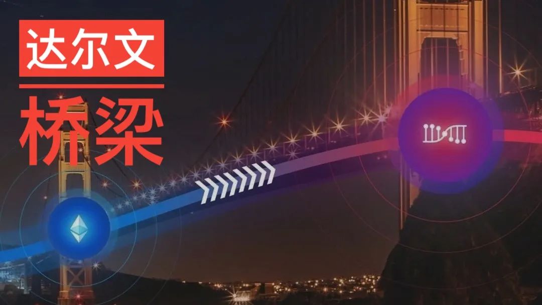 波卡