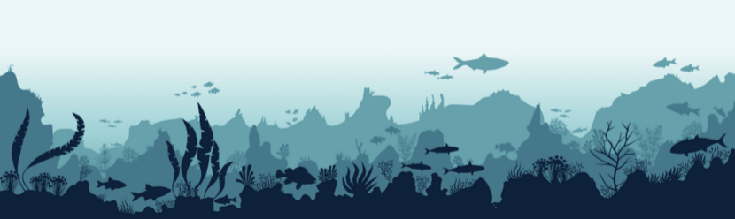 浏览器
