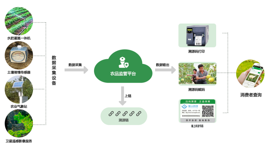 溯源