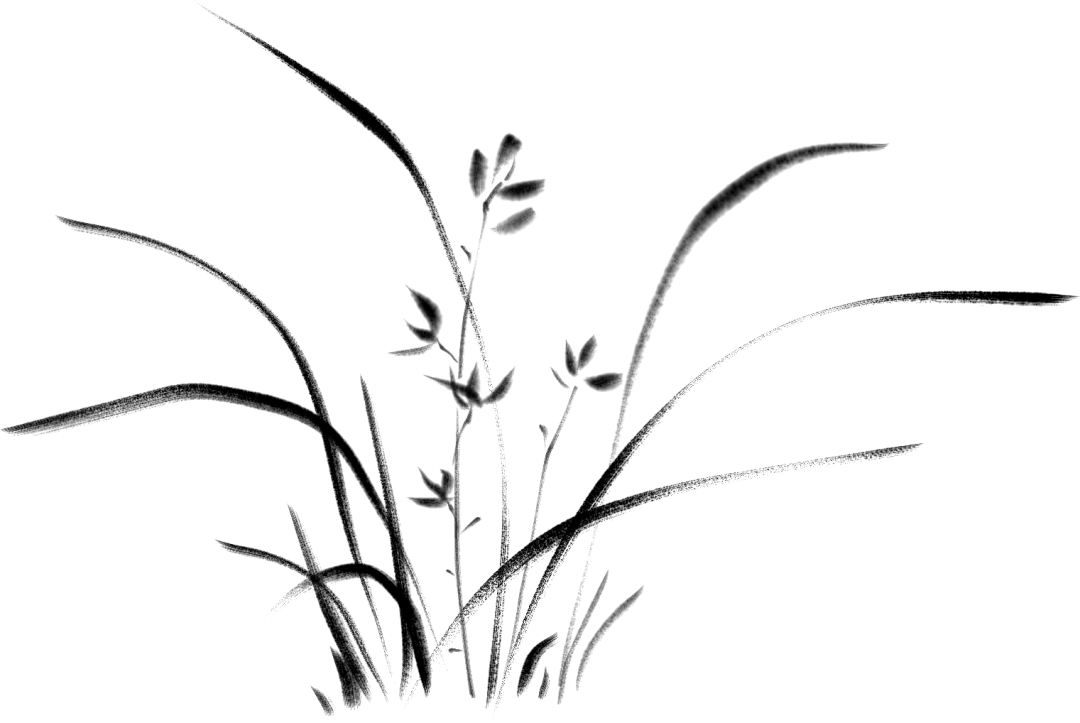 小白入门
