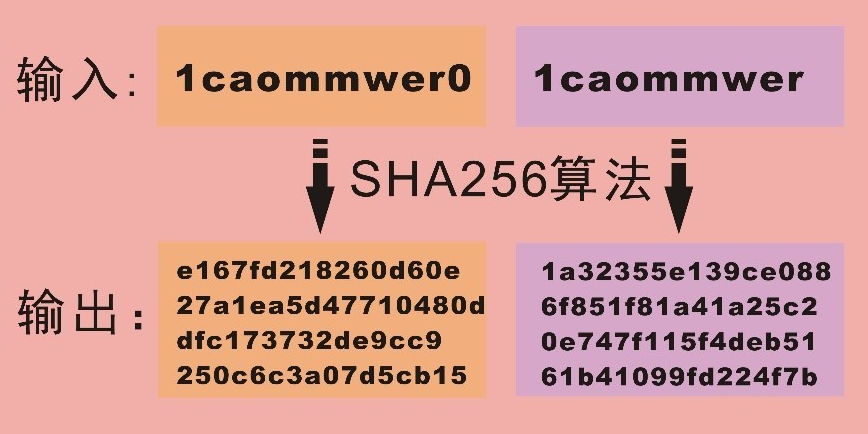 网络