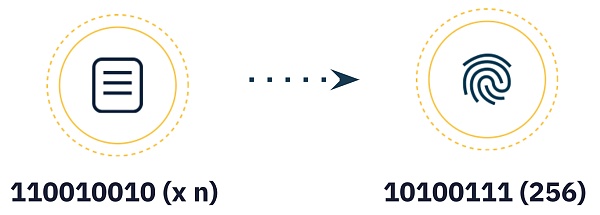 IPFS
