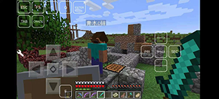 虚拟世界