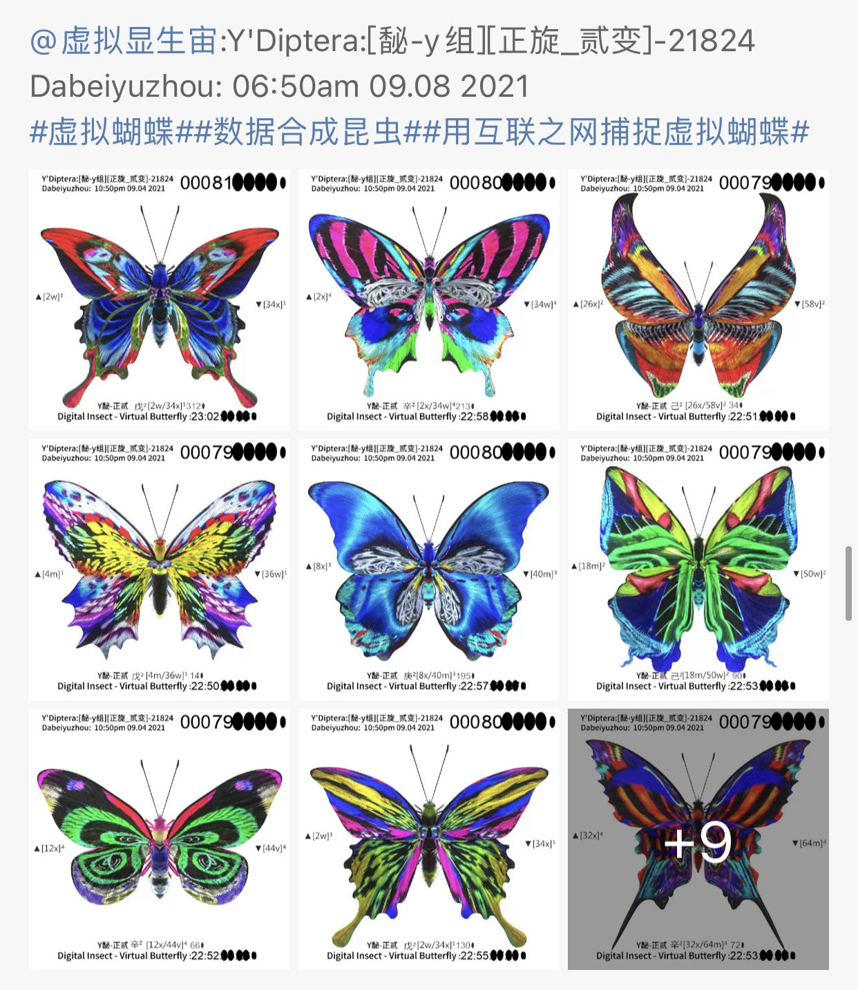 算法