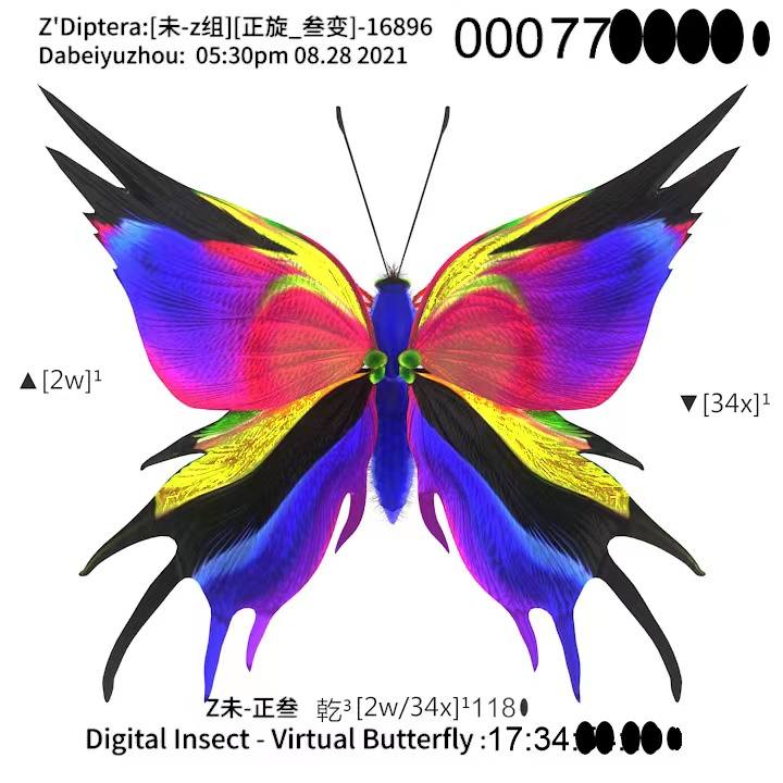 算法