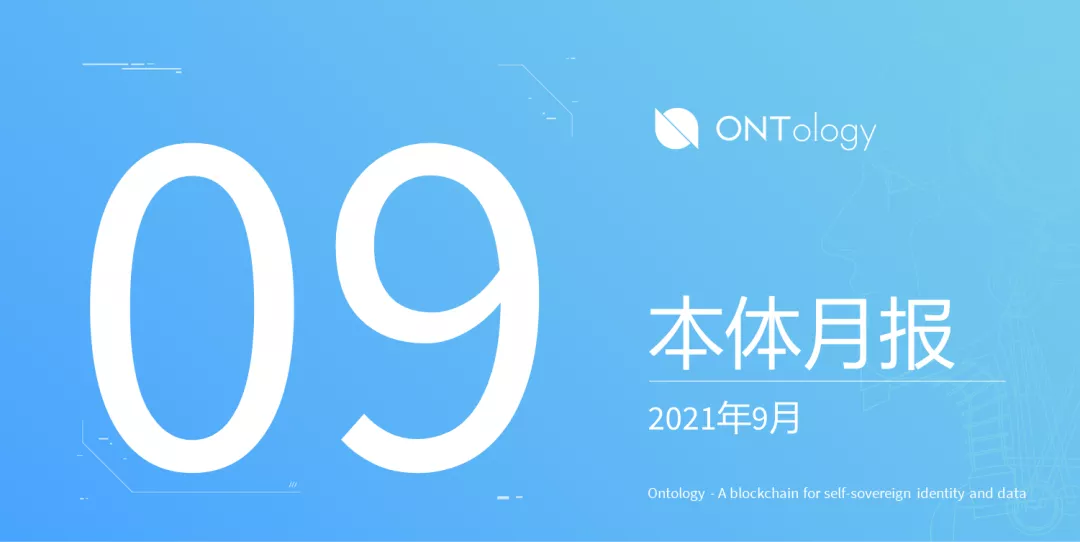 去中心化