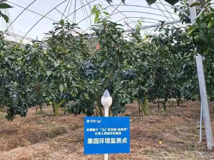 技术