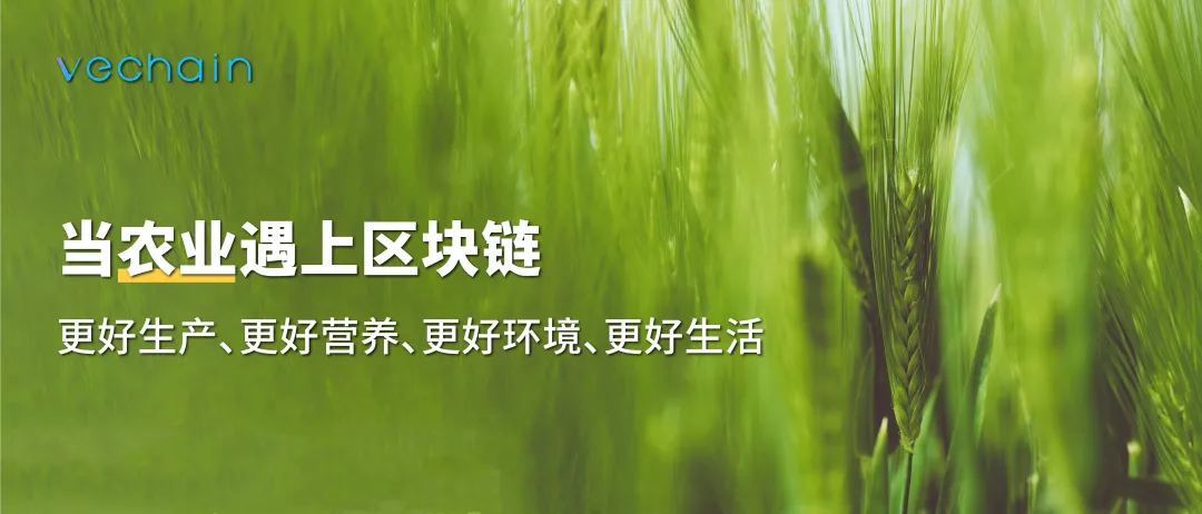 企业