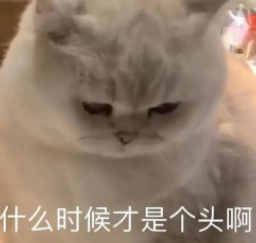 中心化