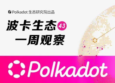 波卡,polkadot,网络,平行链,Kusama