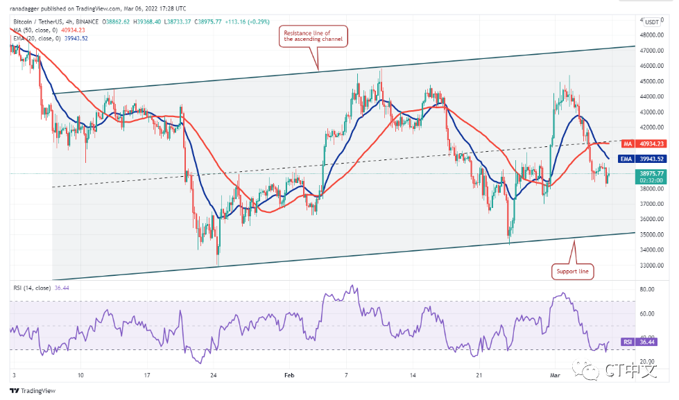本周值得关注的 5 大加密货币：BTC、XRP、NEAR、XMR、WAVES