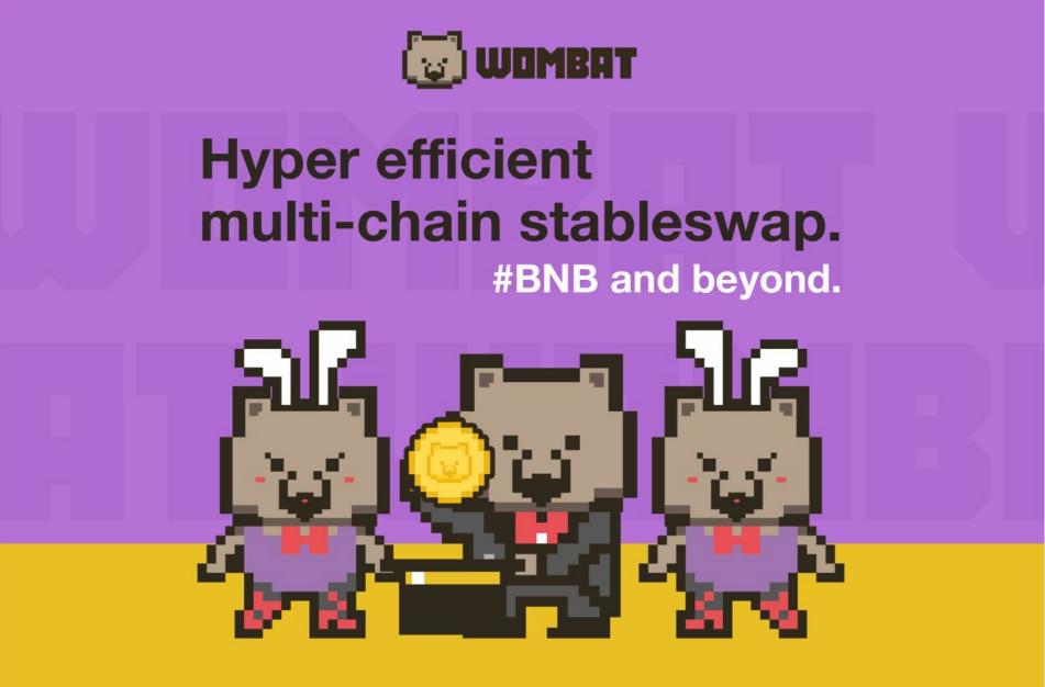 一文读懂 Wombat 协议:如何革新的稳定币兑换体验