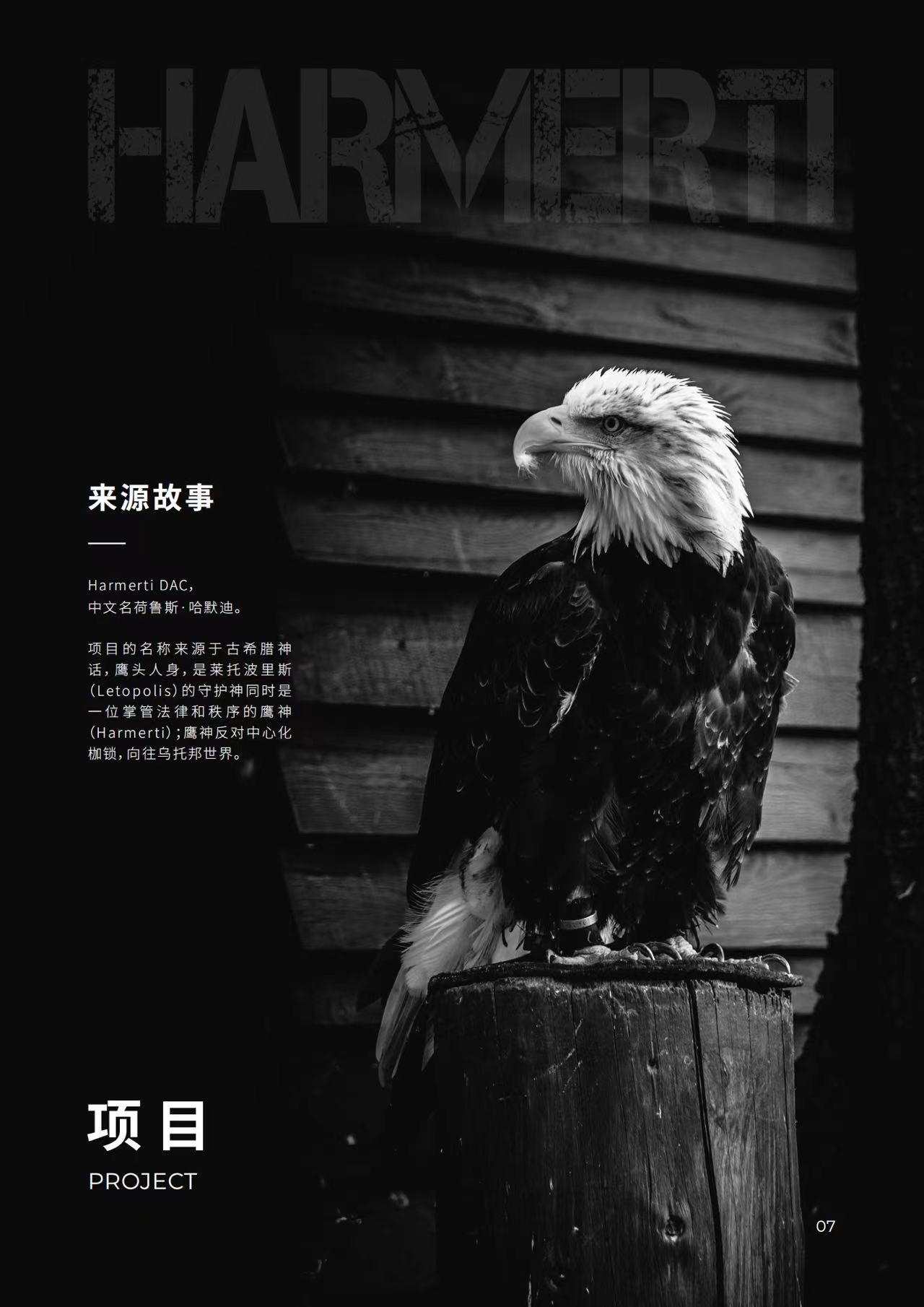 HARMS DAC什么来头,预售8小时突破10万美金