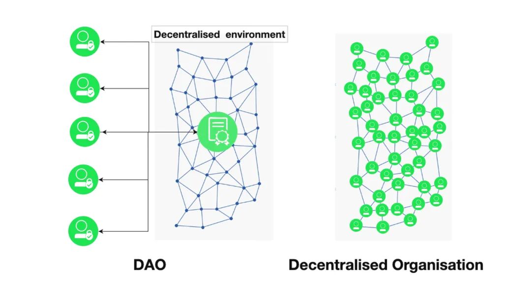 DAO