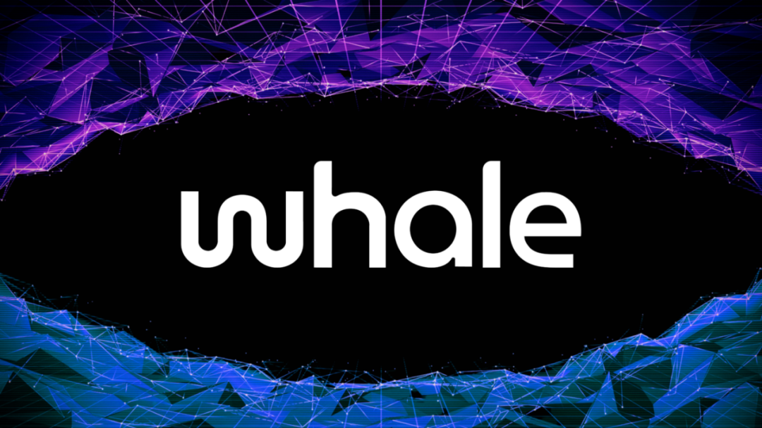 WHALE 会员指南（第 1 部分）
