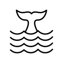 WHALE 会员指南（第 1 部分）