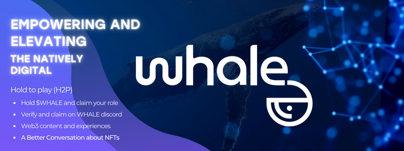 WHALE 会员指南(第 2 部分)