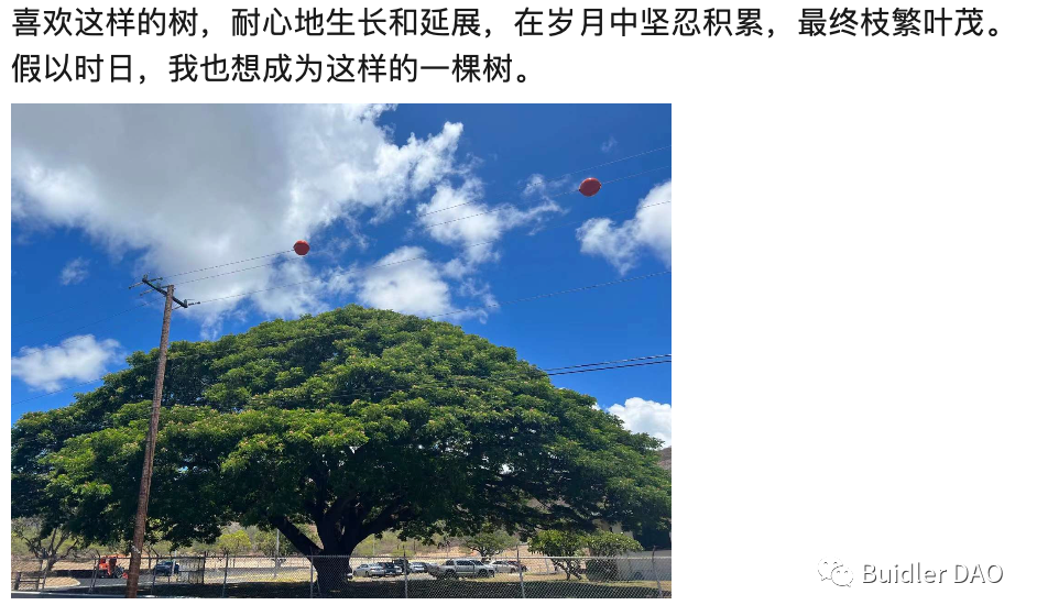 投资