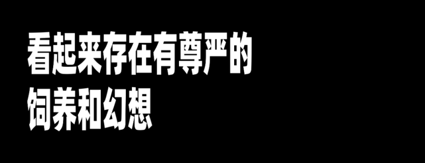 去中心化