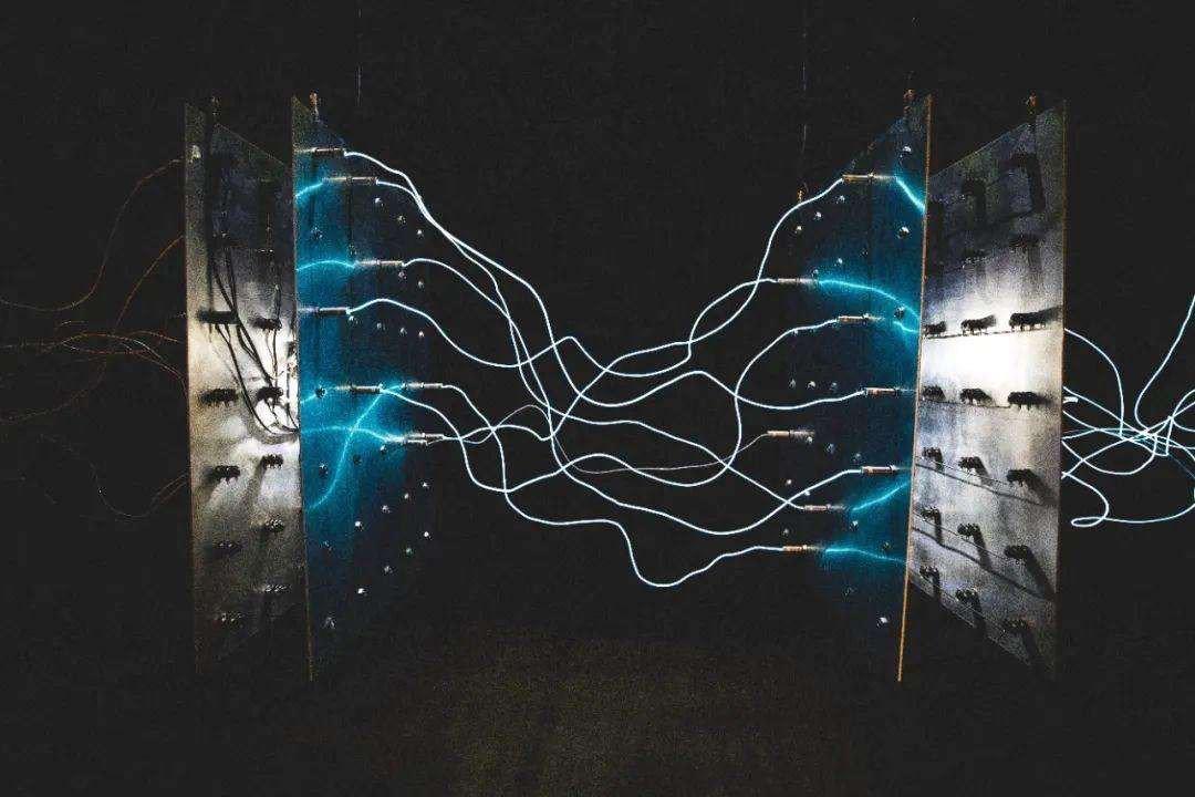 重读Web3:X METAVERSE PRO视频流媒体行业的去中心化