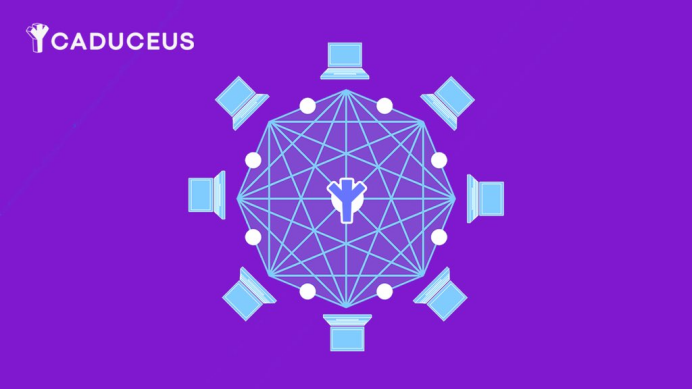 Caduceus在Web3领域中的技术现状及未来展望
