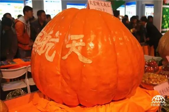 艺术致敬民族荣耀，航天IP入驻可创平台