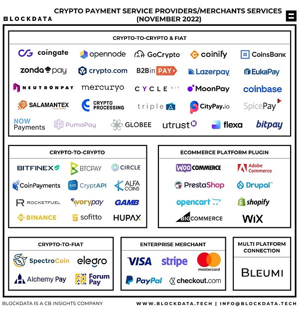 Blockdata 研报:2022 年加密支付赛道现状