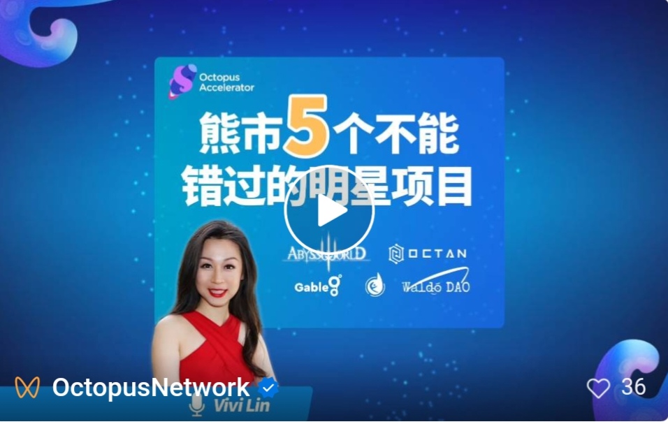 Octopus DAO 即将启动应用链投票