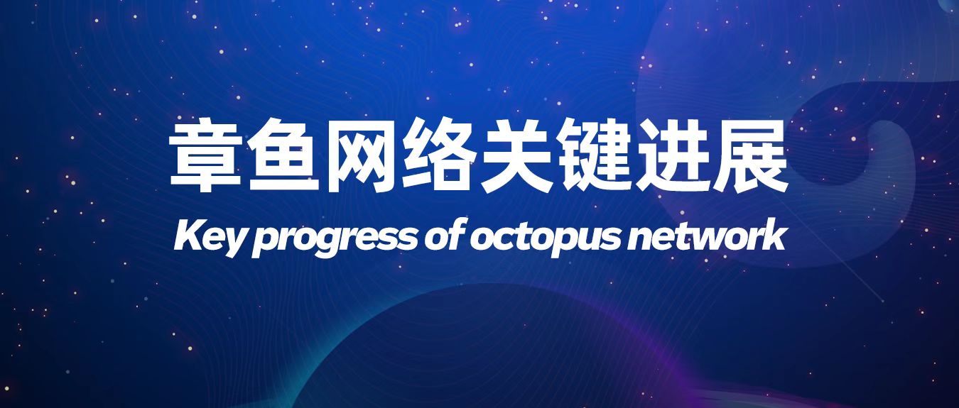 章鱼网络进展月报 | 2022.12.1-12.31