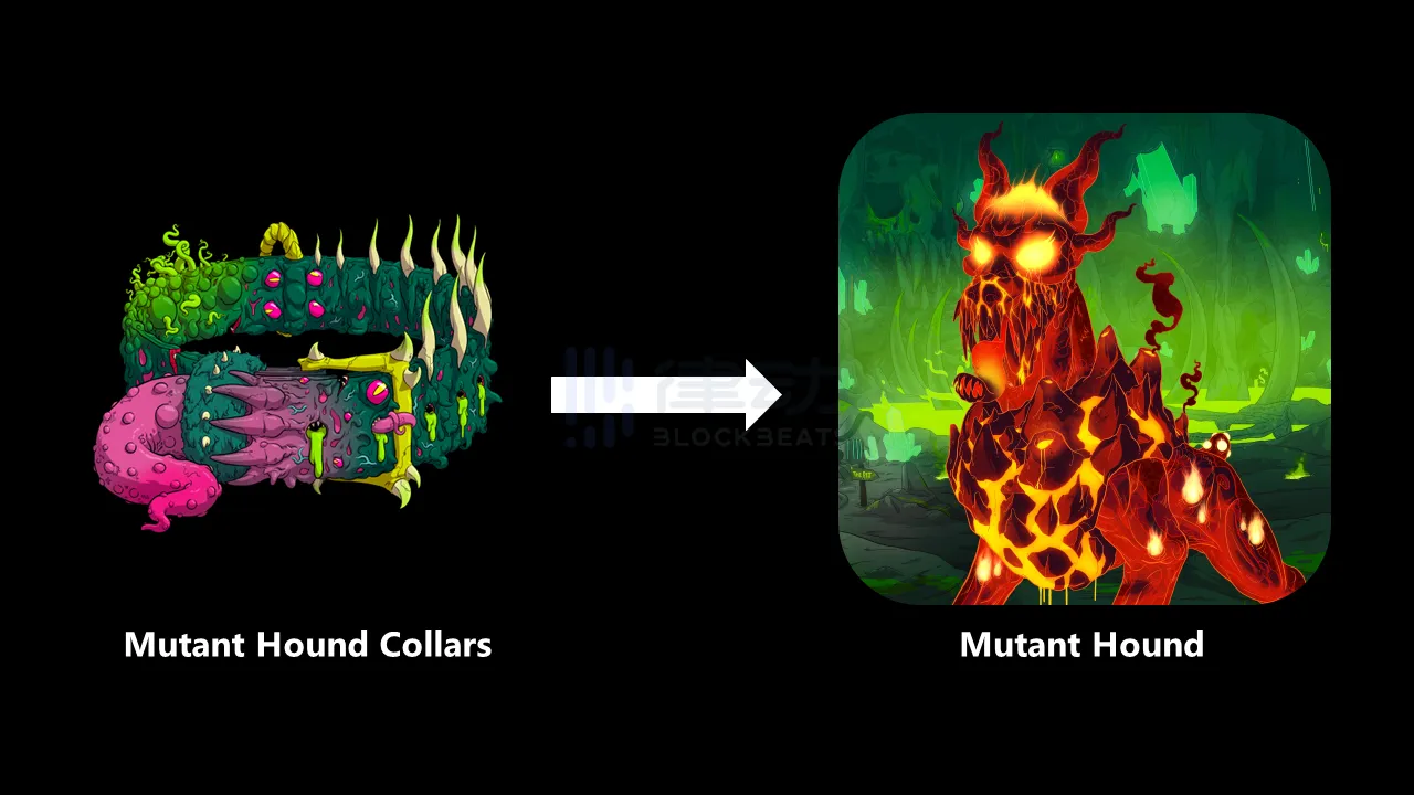 冲上榜一的「变异狗」Mutant Hounds是Yuga Labs的新项目吗？