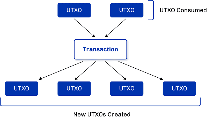 UTXO