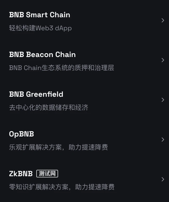 BNB Chain多链解读：如何满足Web3大规模采用的多样场景