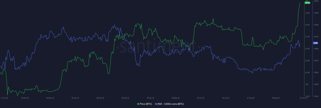 BTC破年度新高,未来走向如何