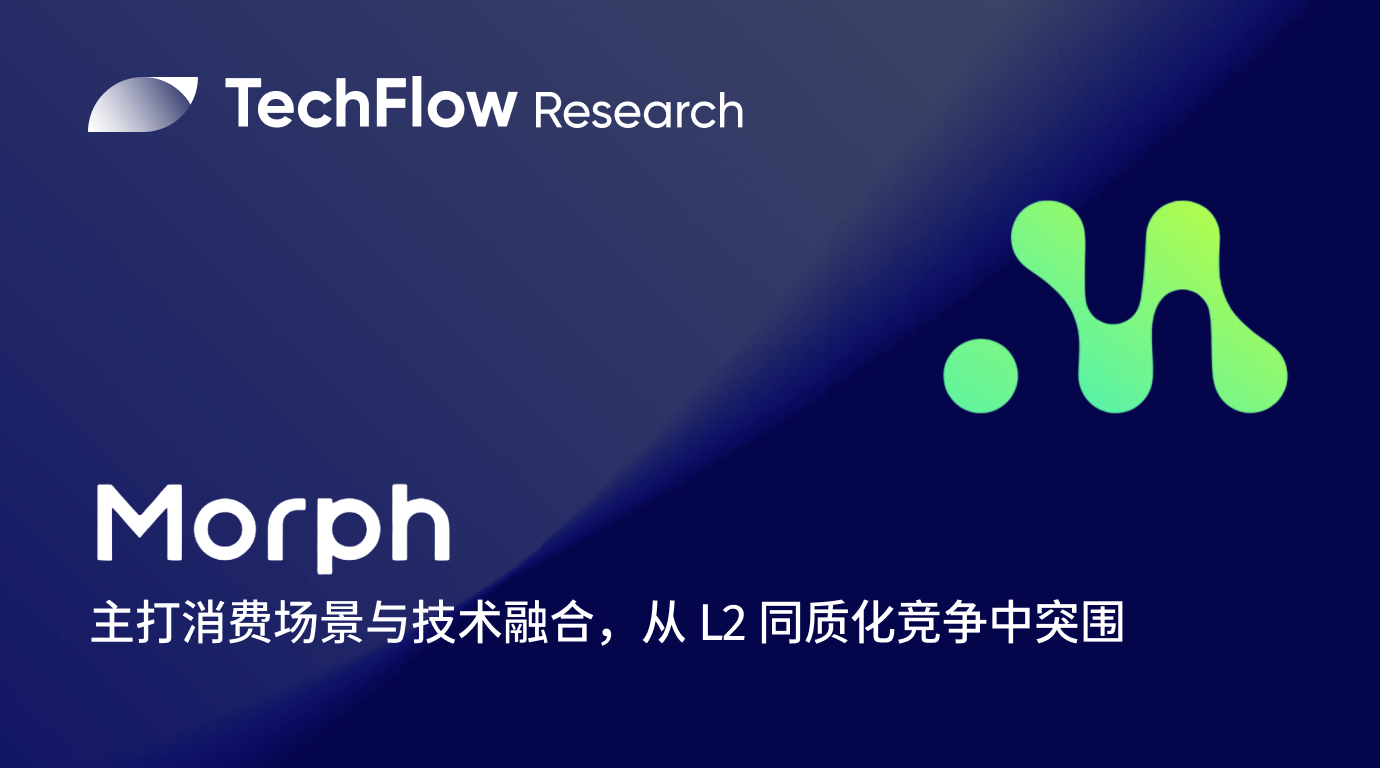 解读 Morph:主打消费场景与技术融合,能否从 L2 同质化竞争中突围?