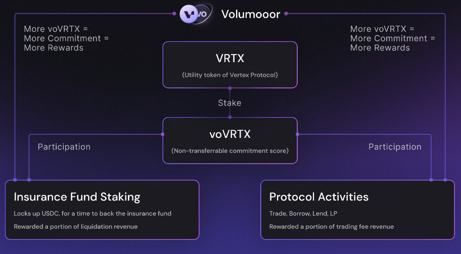 Vertex 流动性拍卖回顾：代币初始流动性已就位，激励计划或催生交易热情