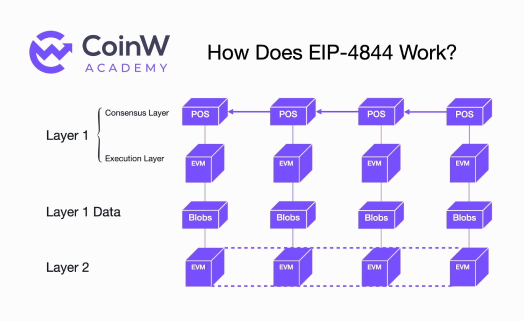 CoinW Academy:2023-2024 加密货币行业年度研究报告