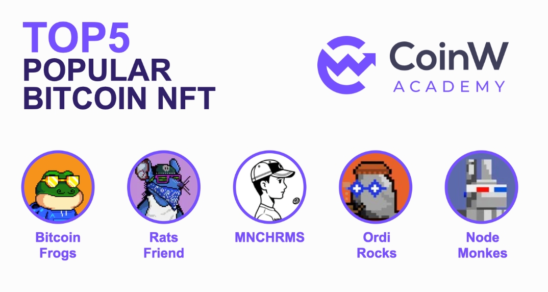 CoinW Academy:2023-2024 加密货币行业年度研究报告